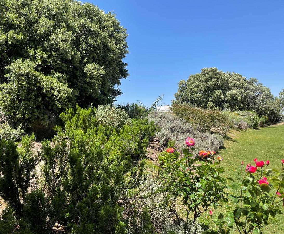 El Encinar De Gabino Villa Zarzuela del Monte Dış mekan fotoğraf