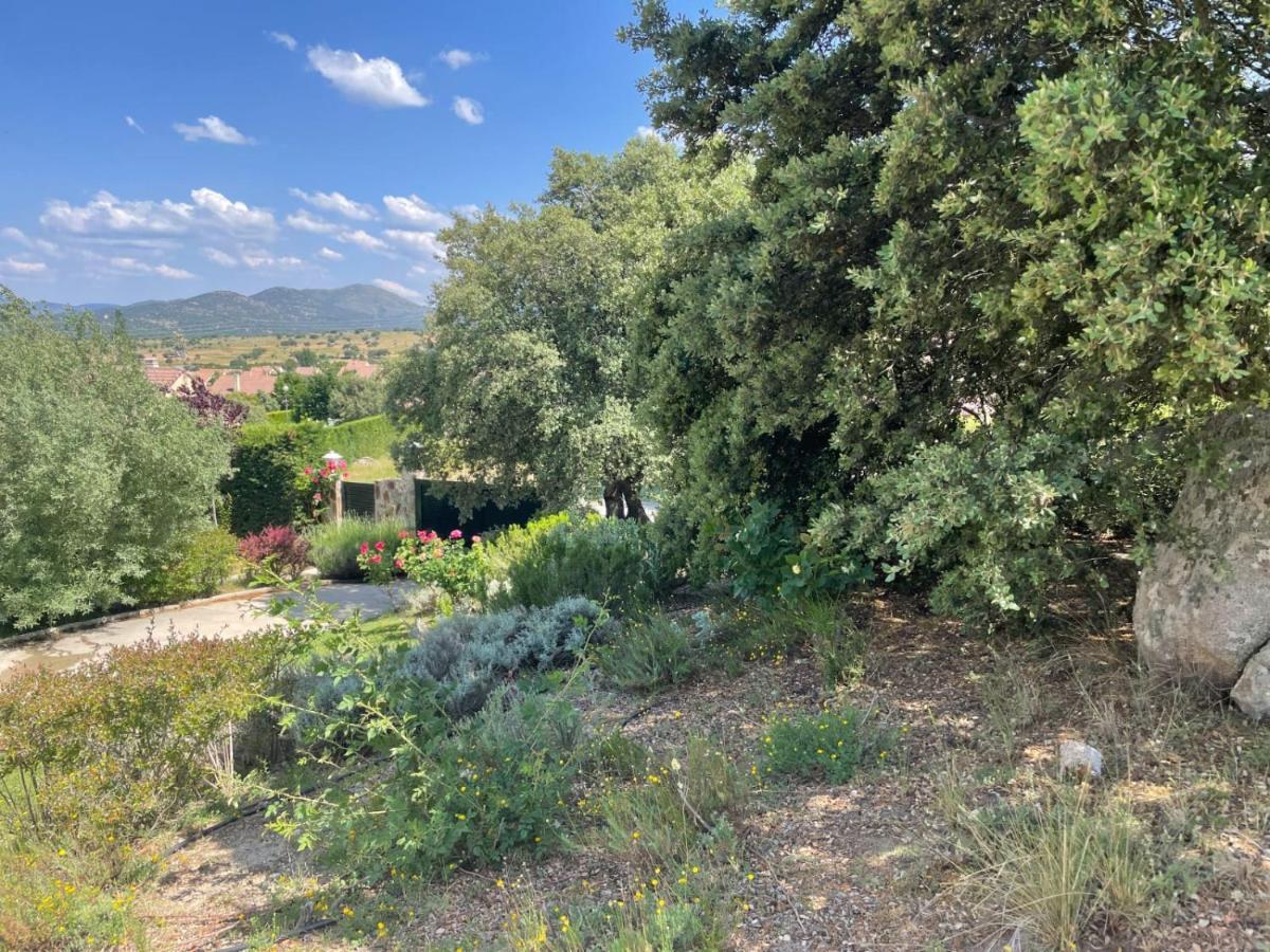 El Encinar De Gabino Villa Zarzuela del Monte Dış mekan fotoğraf