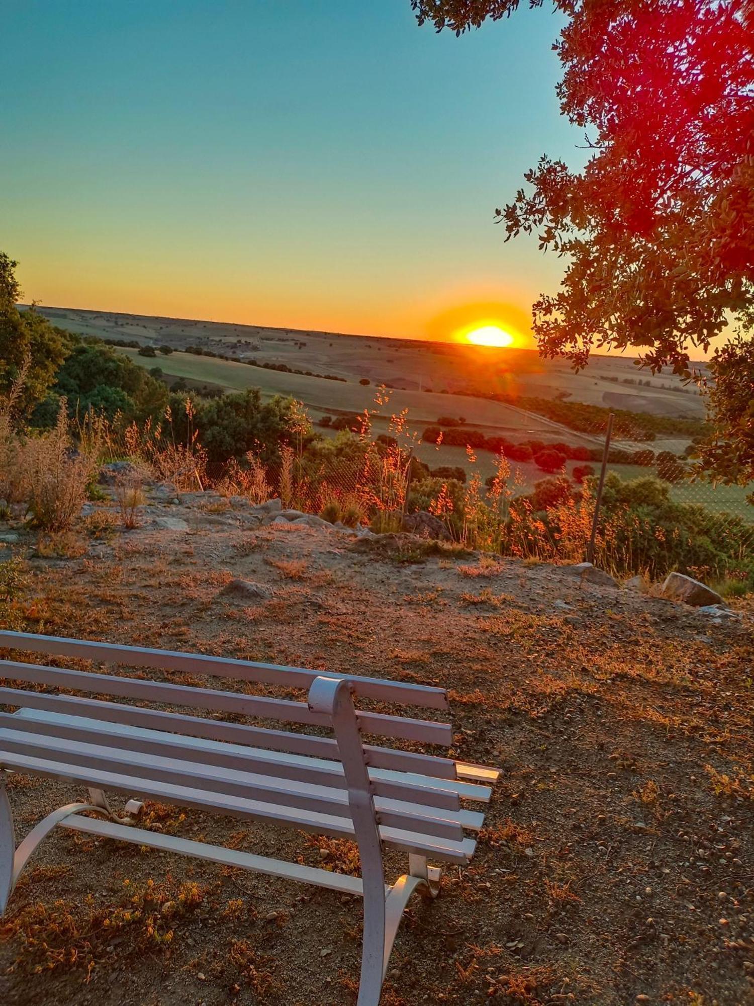 El Encinar De Gabino Villa Zarzuela del Monte Dış mekan fotoğraf